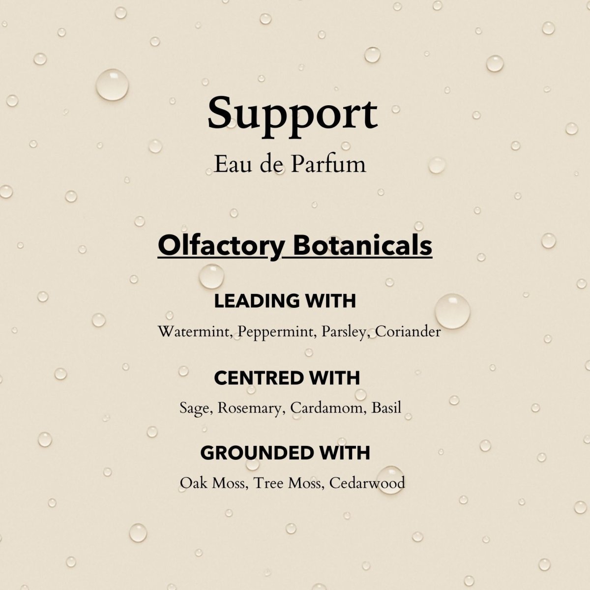 Support Functional Parfum  10ml