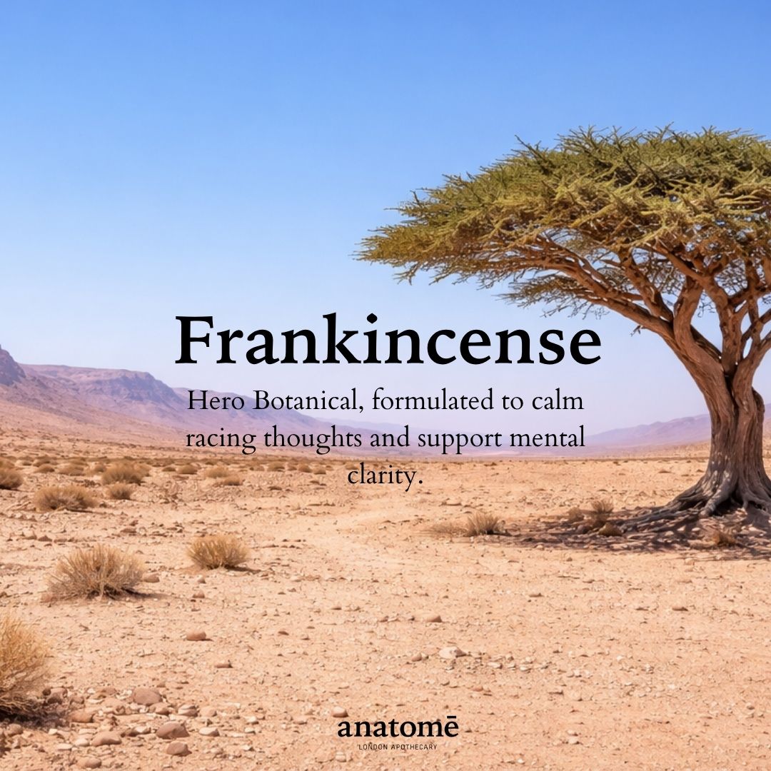 Sleep Oil for Overactive Mind – Somali Frankincense  | 30ml